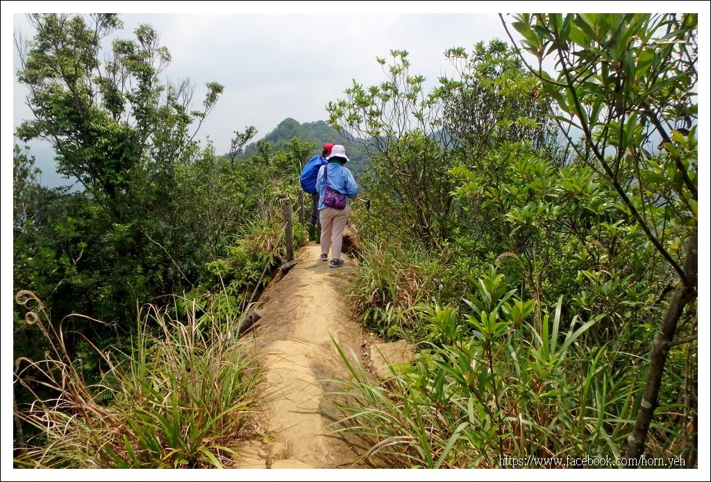 皇帝殿東西峰25.jpg 皇帝殿東西峰25.jpg