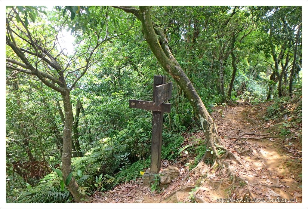 皇帝殿東西峰41.jpg 皇帝殿東西峰41.jpg