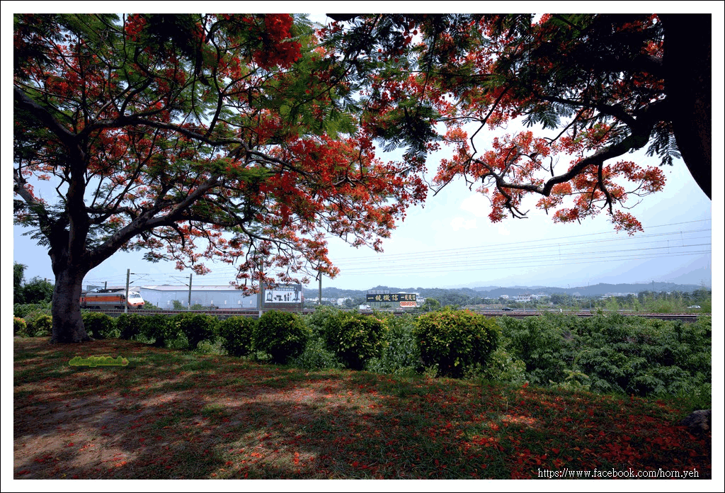 2018-06-07_160953.gif 自強號動態版