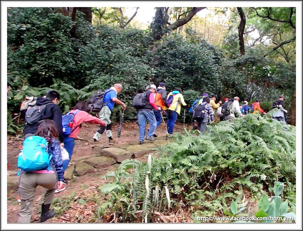 2019_0210奇岩五峰09.jpg