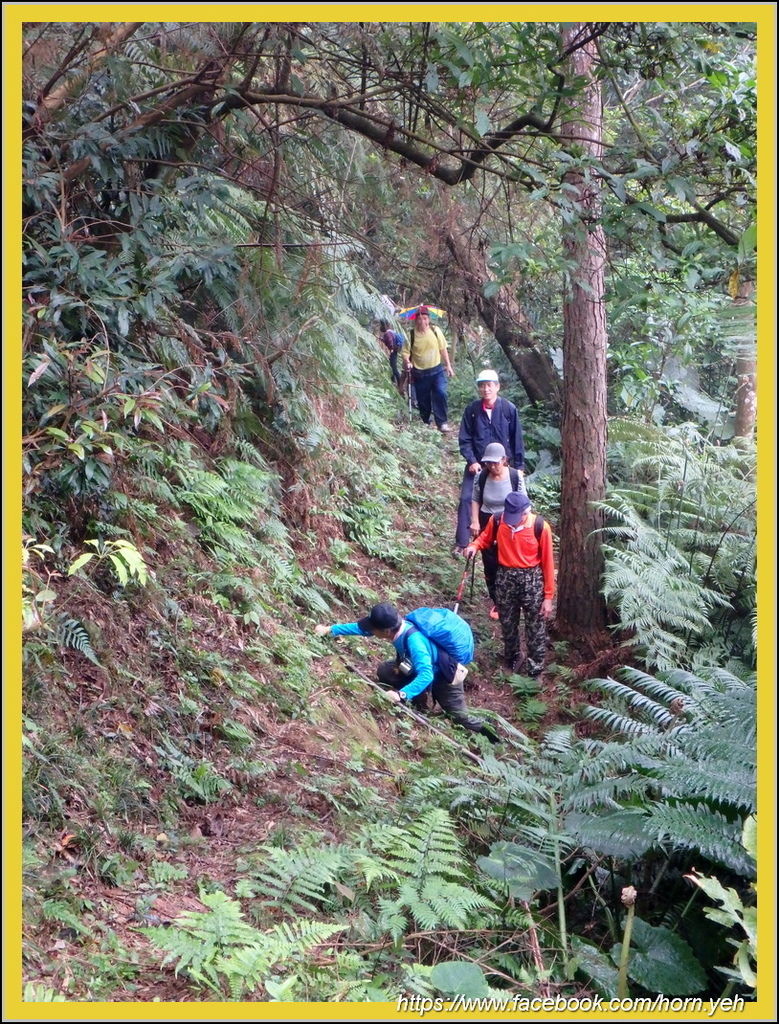 2019.0303石牛二鬮山21.jpg