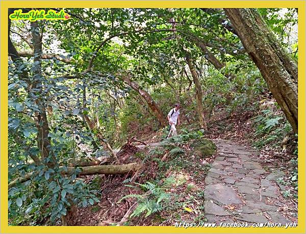 陽明山走水車寮步道04.jpg 陽明山走水車寮步道04.jpg