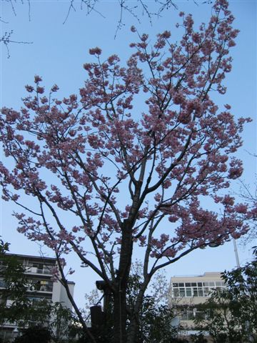 六本木002.jpg