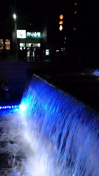 DSC_1237