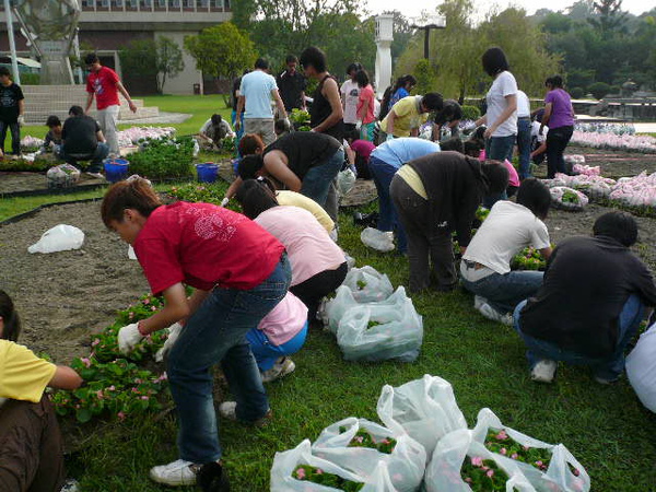 園藝系大一學生全體動員2009.10.14.JPG