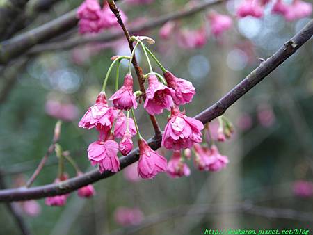 2012021901.jpg 2012021901.jpg