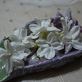 2011053105.jpg 2011053105.jpg