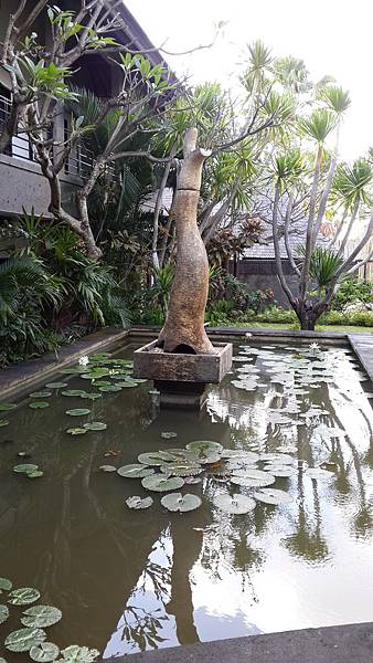 20150625_090310.jpg 20150625_090310.jpg