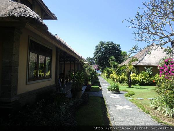 CIMG4901.JPG CIMG4901.JPG