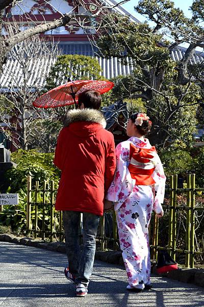 _DSC0155 _DSC0155