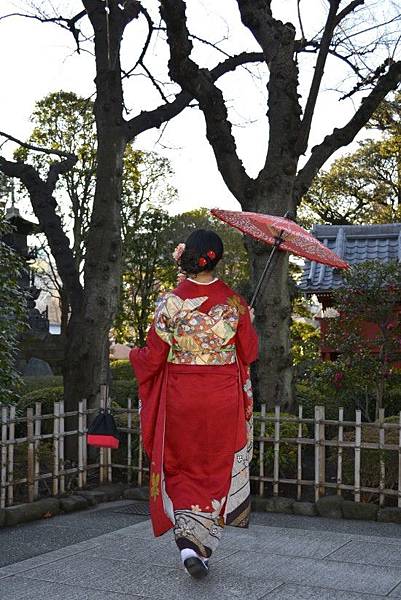 _DSC0099 _DSC0099