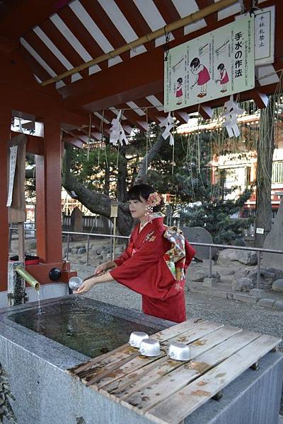 _DSC0013 _DSC0013
