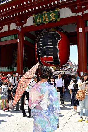 _DSC0038 _DSC0038