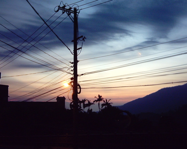 世界樹(陽明山山路)(使用通常電池的簡陋傻瓜相機拍攝).JPG