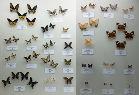 2010-06-05-science-12.jpg