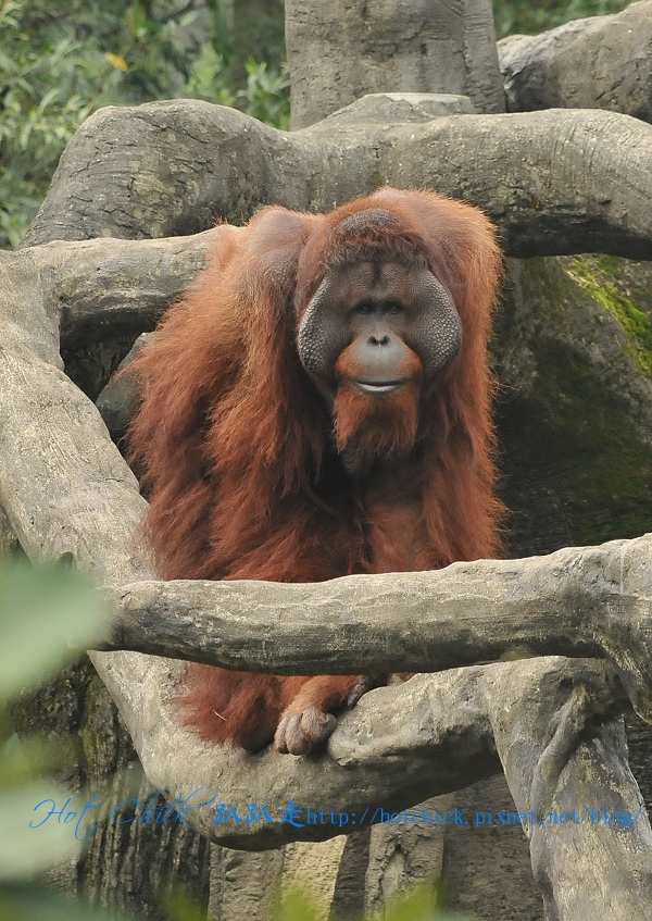 orang02.jpg