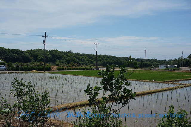 food09.jpg food09.jpg