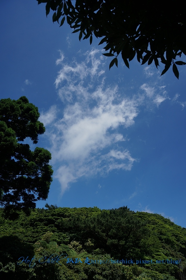 view11.jpg view11.jpg