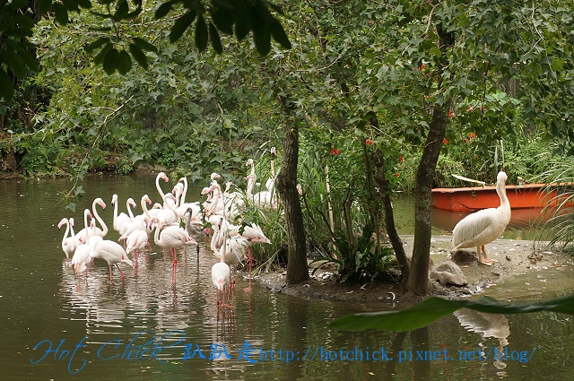 bird04.jpg bird04.jpg