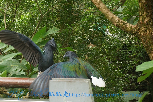 bird08.jpg bird08.jpg