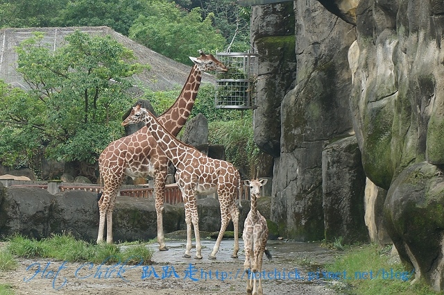 zoo05.jpg