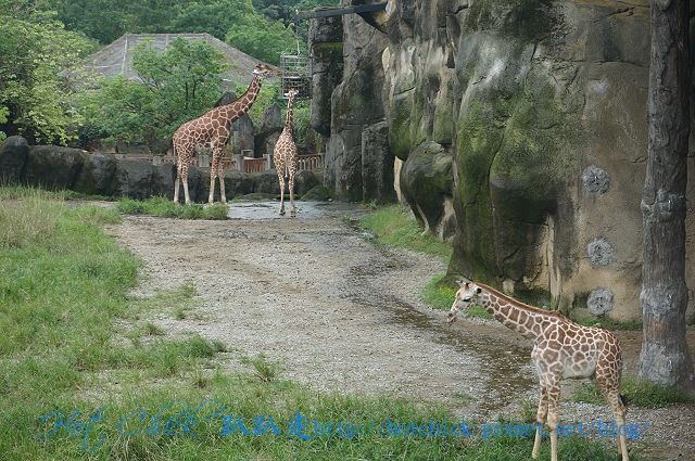 zoo06.jpg zoo06.jpg