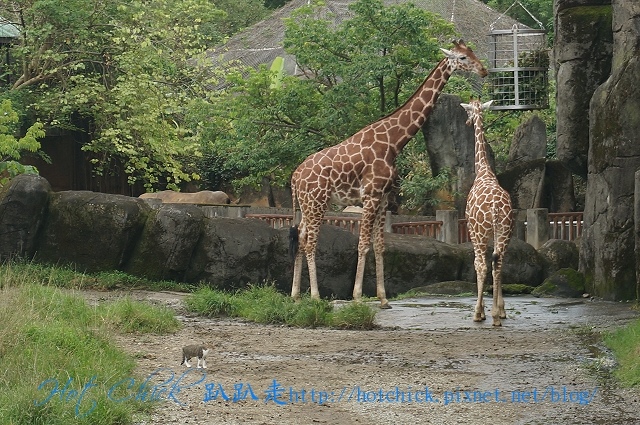 zoo07.jpg zoo07.jpg