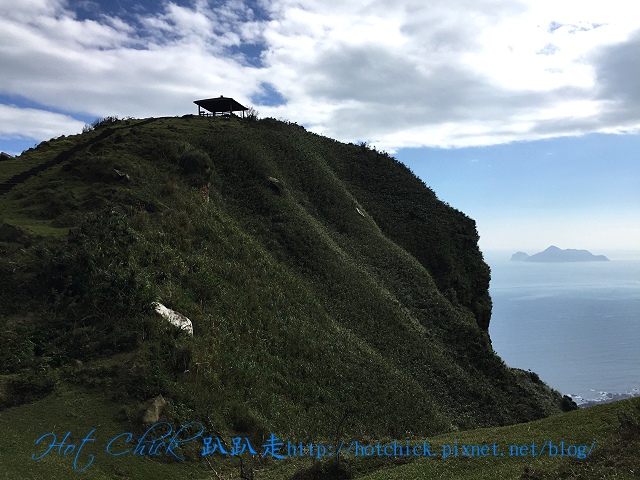 pain01.jpg pain01.jpg