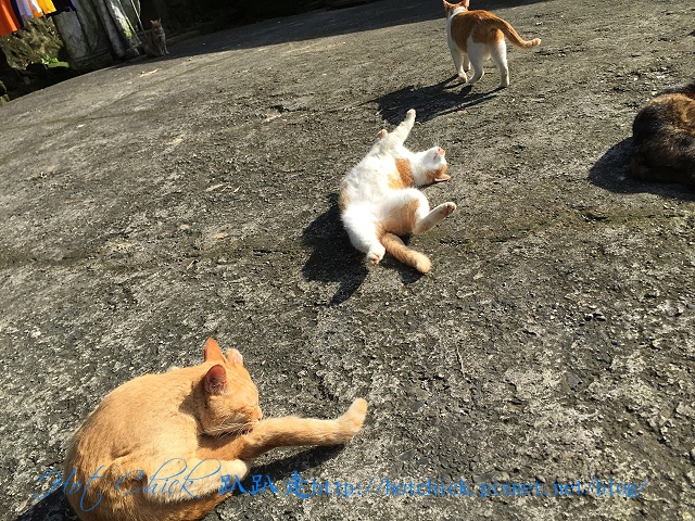 pain07.jpg pain07.jpg