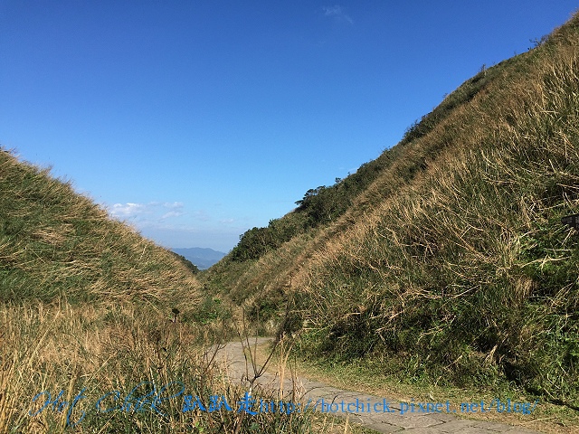 pain11.jpg pain11.jpg