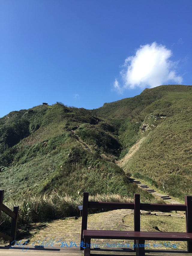 pain13.jpg pain13.jpg