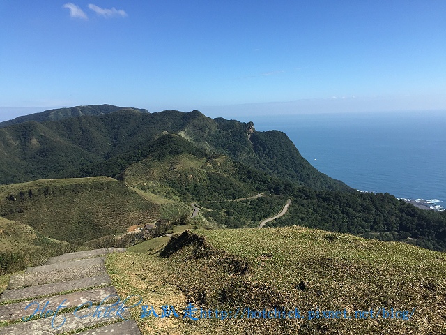 pain15.jpg pain15.jpg