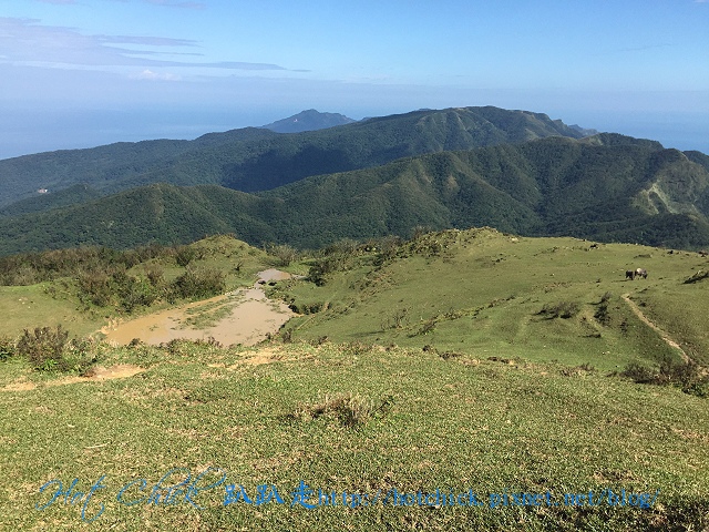 pain17.jpg pain17.jpg