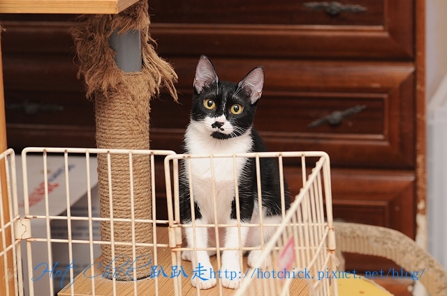 black03.jpg black03.jpg