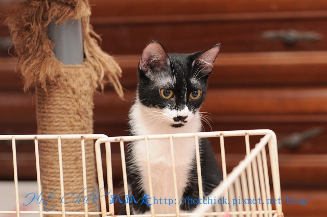 black04.jpg black04.jpg