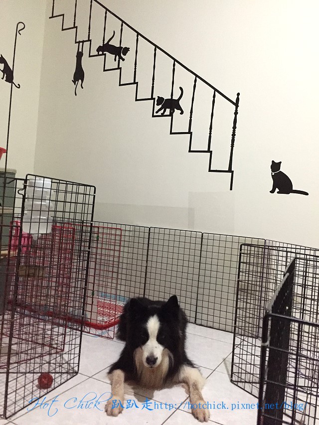 joke01.jpg joke01.jpg