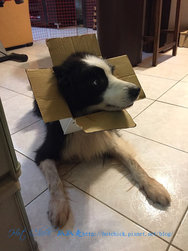 joke03.jpg joke03.jpg