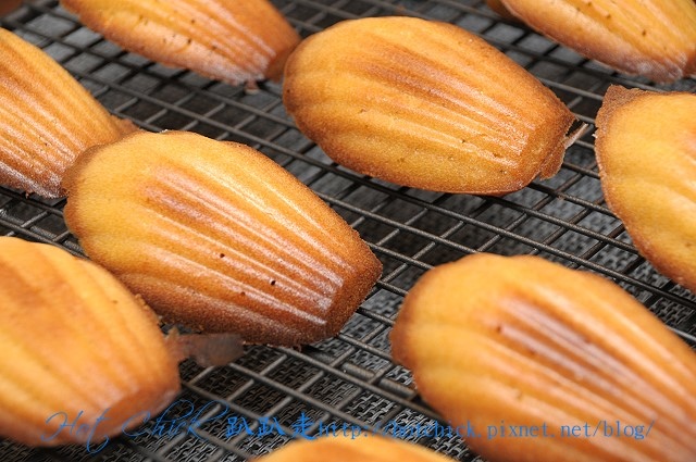 cake01.jpg cake01.jpg