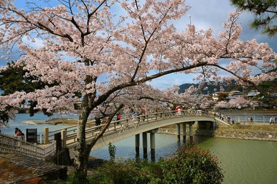 京都宇治一日遊 (11).jpg