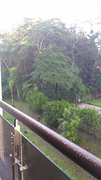 P_20170702_070614.jpg P_20170702_070614.jpg