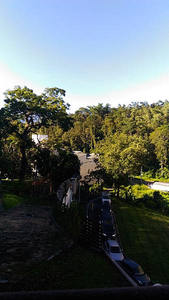 P_20170702_070620.jpg P_20170702_070620.jpg