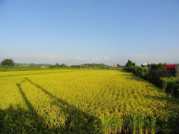 DSC02278