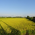 DSC02278