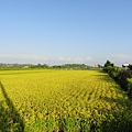 DSC02279