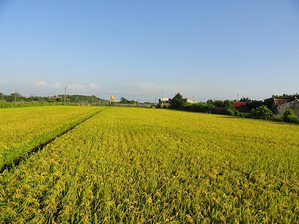 DSC02280