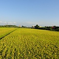 DSC02280
