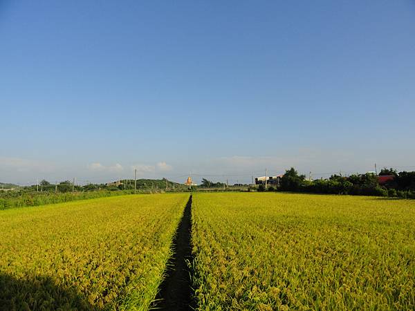 DSC02281