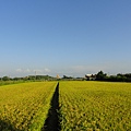 DSC02281