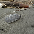 DSC05120
