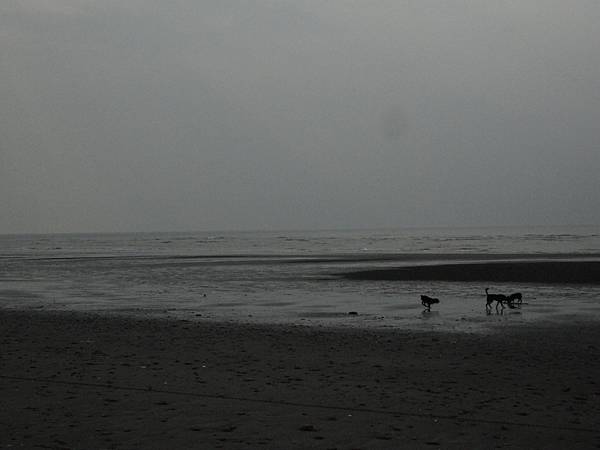 DSC05129
